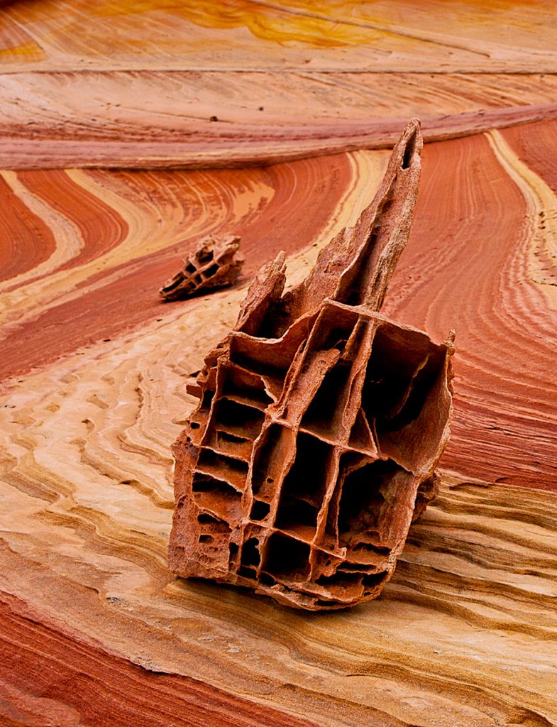 Boneyard Rock Grand Staircase Escalante Vermillion Cliffs National Monuments Coyote Buttes The Wave White Pocket Guided Photography Tours Paria Outpost Outfitters Kanab Utah Arizona 1 785x1024 - THE WAVE – NORTH COYOTE BUTTES PHOTO GALLERY