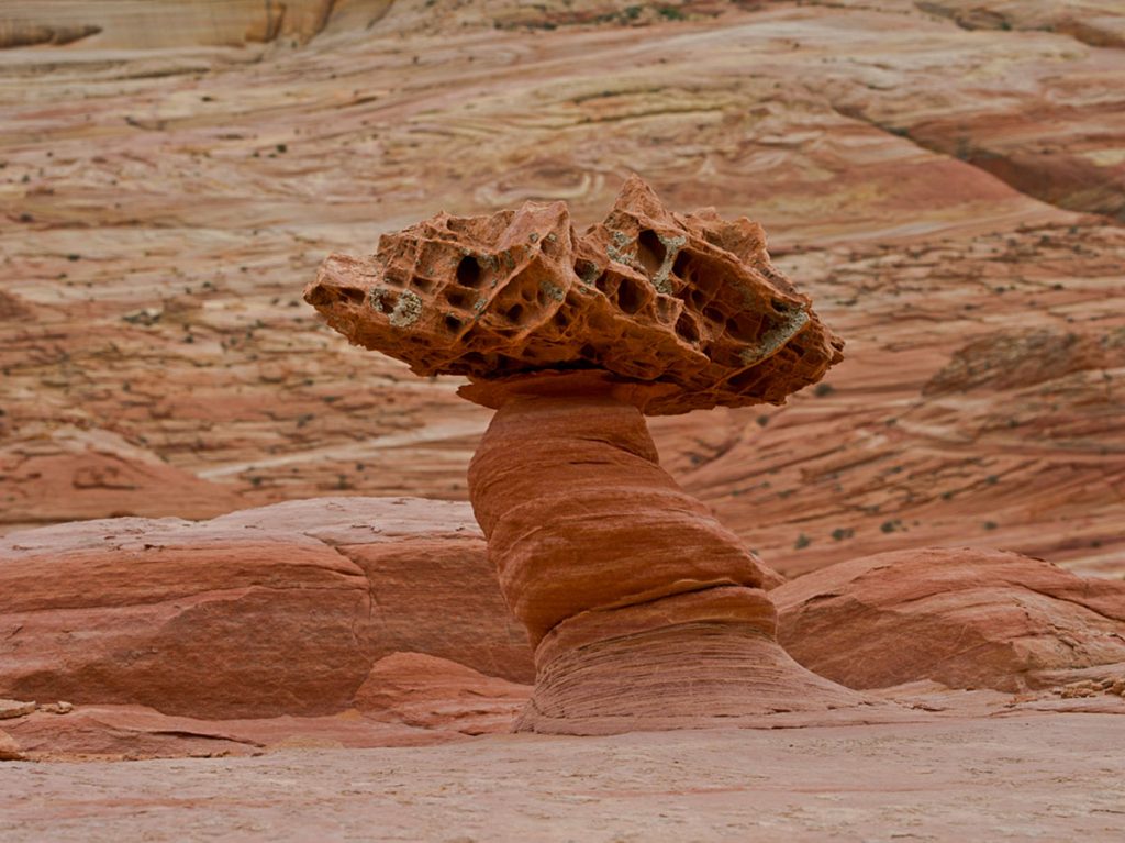Boneyard Rock Grand Staircase Escalante Vermillion Cliffs National Monuments Coyote Buttes The Wave White Pocket Guided Photography Tours Paria Outpost Outfitters Kanab Utah Arizona 2 1024x767 - THE WAVE – NORTH COYOTE BUTTES PHOTO GALLERY