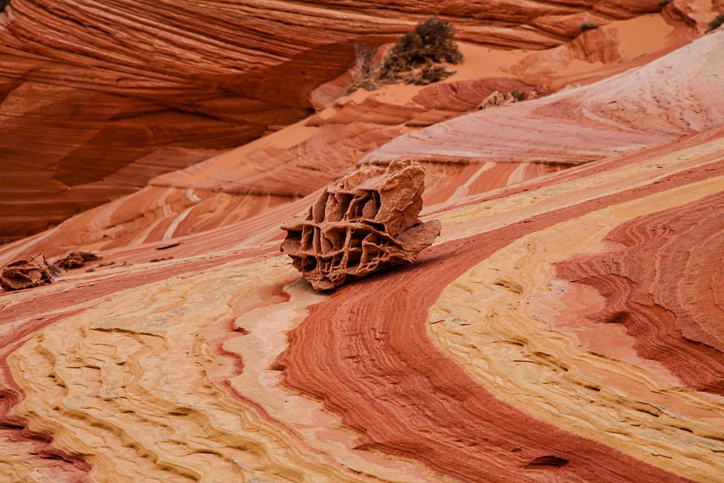 Boneyard Rock Grand Staircase Escalante Vermillion Cliffs National Monuments Coyote Buttes The Wave White Pocket Guided Photography Tours Paria Outpost Outfitters Kanab Utah Arizona 3 1024x683 - THE WAVE – NORTH COYOTE BUTTES PHOTO GALLERY