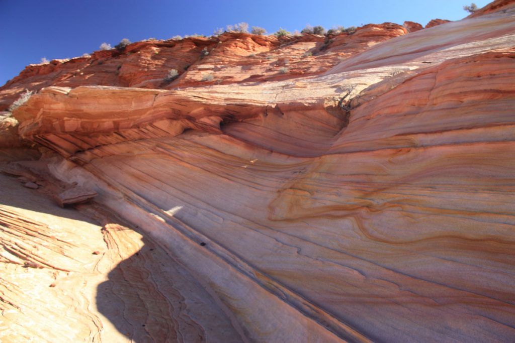 Cottonwood Cove Further Cove South Coyote Buttes Paria Outpost Outfitters Kanab Utah 29 1024x683 - SOUTH COYOTE BUTTES PHOTO GALLERY