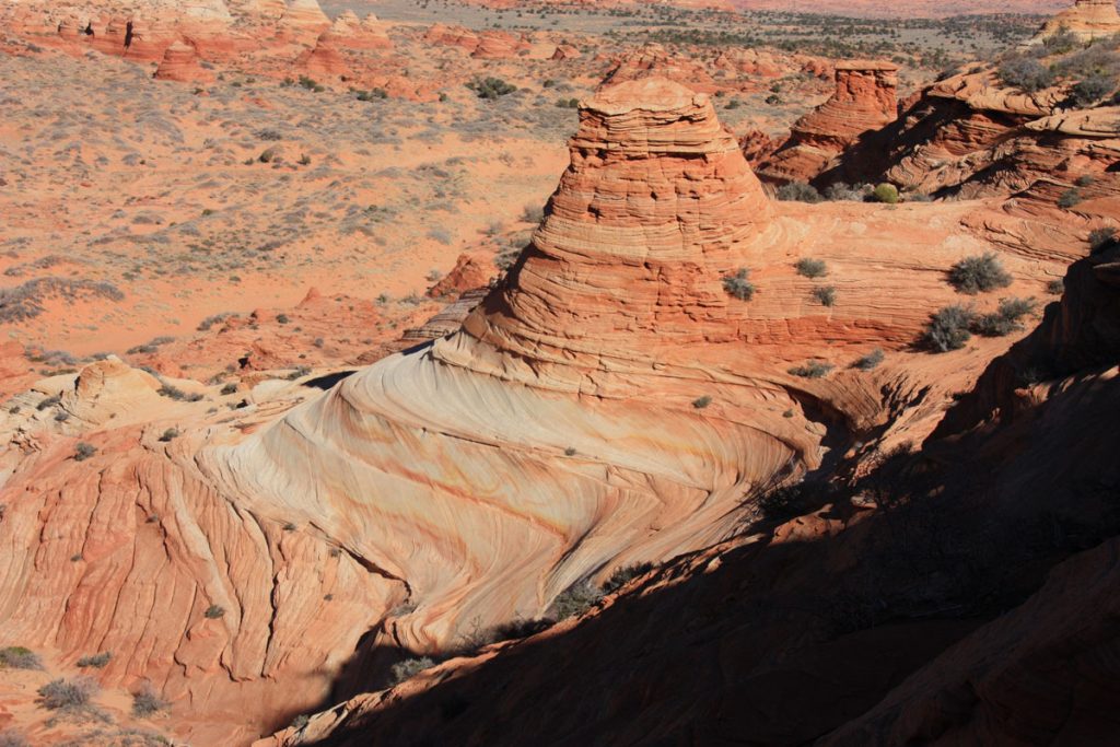 Cottonwood Cove Further Grand Staircase Escalante Vermillion Cliffs National Monuments Coyote Buttes The Wave White Pocket Guided Photography Tours Paria Outpost Outfitters Kanab Utah Arizona 26 1024x683 - SOUTH COYOTE BUTTES PHOTO GALLERY