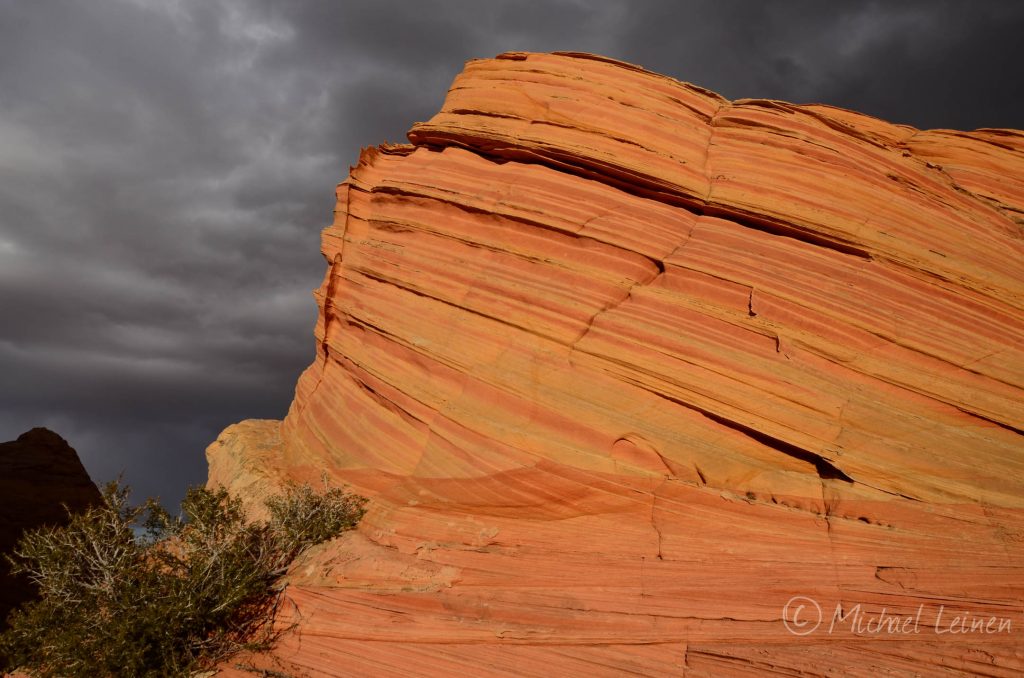 Coyote Buttes South Photography Workshops MIke Leinen Grand Staircase Escalante Vermillion Cliffs National Monuments The Wave White Pocket Paria Outpost Outfitters Kanab Utah Arizona 1 1024x678 - SOUTH COYOTE BUTTES PHOTO GALLERY