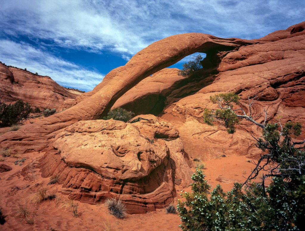 Grand Staircase Driving Tour Cobra Arch Paria Outpost Outfitters 1024x775 - GRAND STAIRCASE PHOTO GALLERY