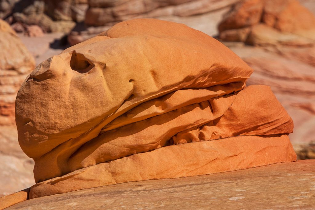 North Coyote Buttes Grand Staircase Escalante Vermillion Cliffs National Monuments Coyote Buttes The Wave White Pocket Guided Photography Tours Paria Outpost Outfitters Kanab Utah Arizona 3 1024x683 - THE WAVE – NORTH COYOTE BUTTES PHOTO GALLERY