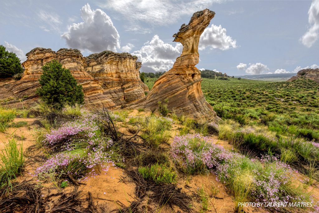 Paria Chicken Hoodoo Vermilion Cliffs Photo by Laurent Martres Paria Outpost Outfitters 1024x684 - YELLOW ROCK