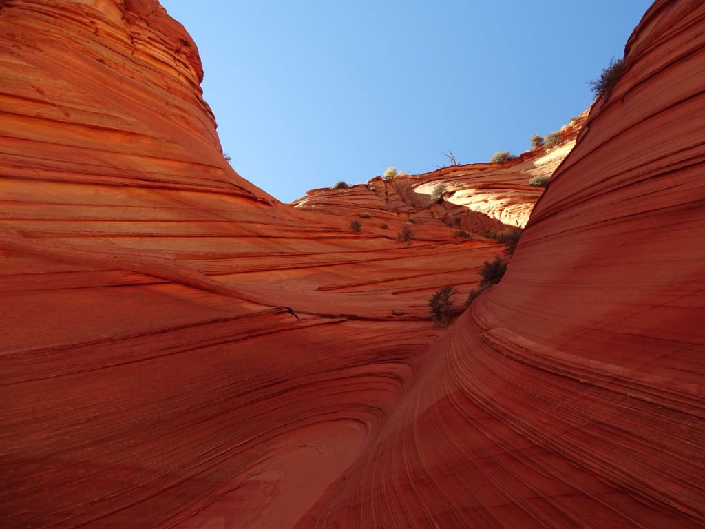 Paw Hole Grand Staircase Escalante Vermillion Cliffs National Monuments Coyote Buttes The Wave White Pocket Guided Photography Tours Paria Outpost Outfitters Kanab Utah Arizona 18 1024x768 - SOUTH COYOTE BUTTES PHOTO GALLERY