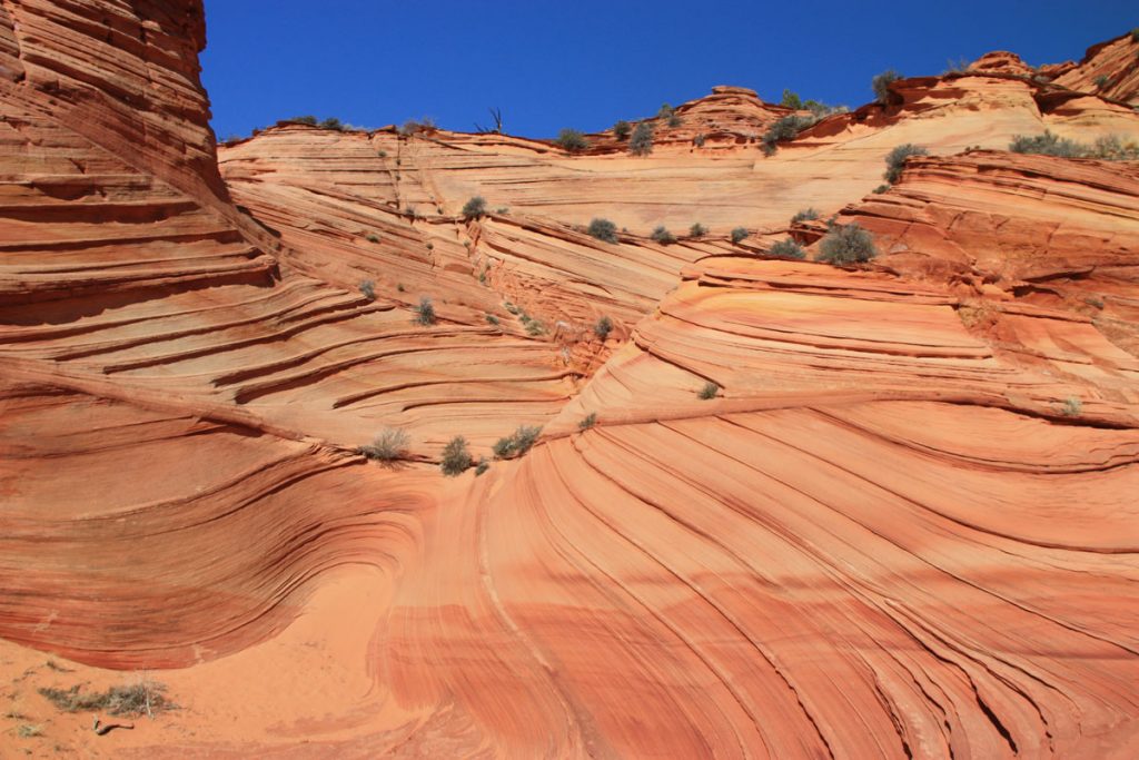 Paw Hole Grand Staircase Escalante Vermillion Cliffs National Monuments Coyote Buttes The Wave White Pocket Guided Photography Tours Paria Outpost Outfitters Kanab Utah Arizona 29 1024x683 - SOUTH COYOTE BUTTES PHOTO GALLERY