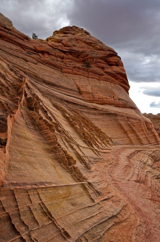 Photography Workshops Mike Leinen Grand Staircase Escalante Vermillion Cliffs National Monuments Coyote Buttes The Wave White Pocket Paria Outpost Outfitters Kanab Utah Arizona 47 678x1024 - PHOTOGRAPHY WORKSHOPS GALLERY
