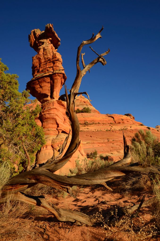 Photography Workshops Mike Leinen Grand Staircase Escalante Vermillion Cliffs National Monuments Coyote Buttes The Wave White Pocket Paria Outpost Outfitters Kanab Utah Arizona 53 678x1024 - PHOTOGRAPHY WORKSHOPS GALLERY