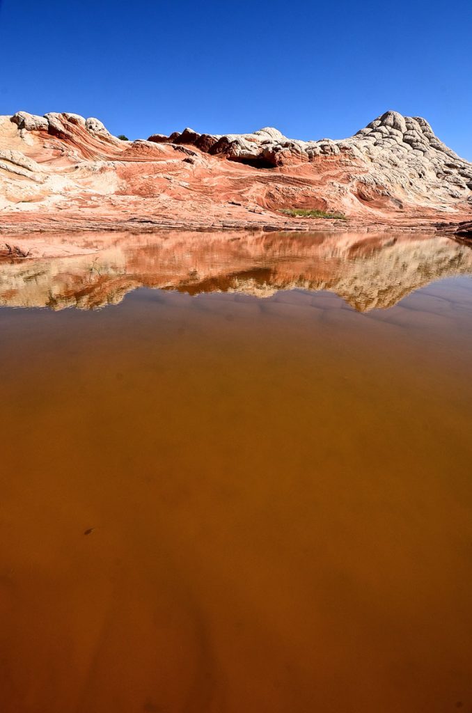Photography Workshops Mike Leinen Grand Staircase Escalante Vermillion Cliffs National Monuments Coyote Buttes The Wave White Pocket Paria Outpost Outfitters Kanab Utah Arizona 75 678x1024 - PHOTOGRAPHY WORKSHOPS GALLERY