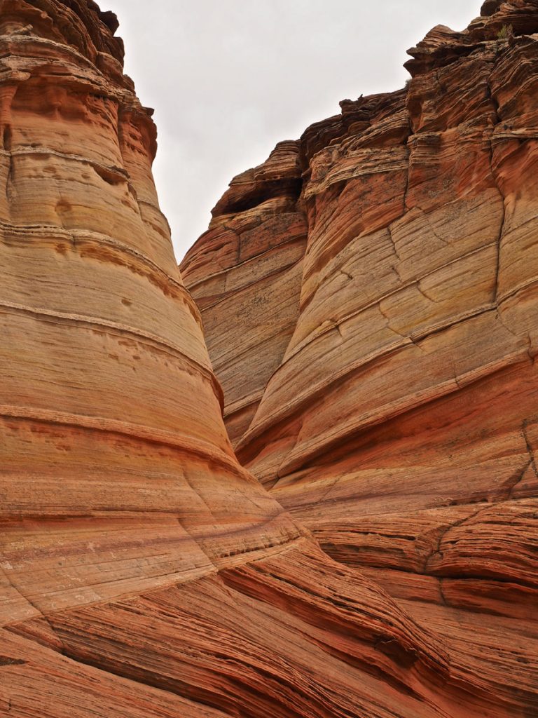 Photography Workshops Mike Leinen Grand Staircase Escalante Vermillion Cliffs National Monuments Coyote Buttes The Wave White Pocket Paria Outpost Outfitters Kanab Utah Arizona 83 768x1024 - PHOTOGRAPHY WORKSHOPS GALLERY