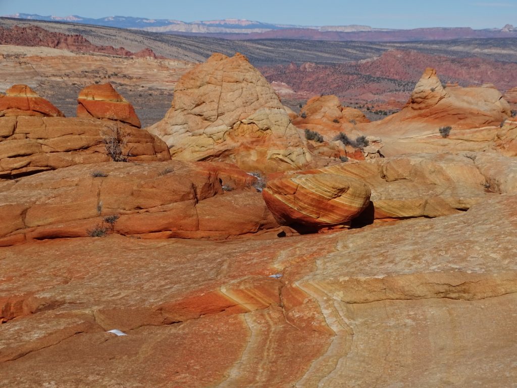 South Coyote Buttes Cottonwood Cove Paria Outpost Outfitters Kanab Utah 2 1024x768 - SOUTH COYOTE BUTTES PHOTO GALLERY