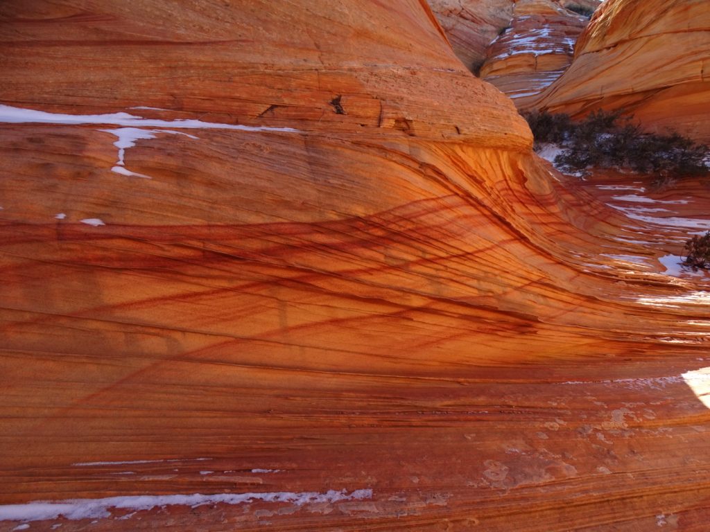 South Coyote Buttes Cottonwood Cove Paria Outpost Outfitters Kanab Utah 22 1024x768 - SOUTH COYOTE BUTTES PHOTO GALLERY