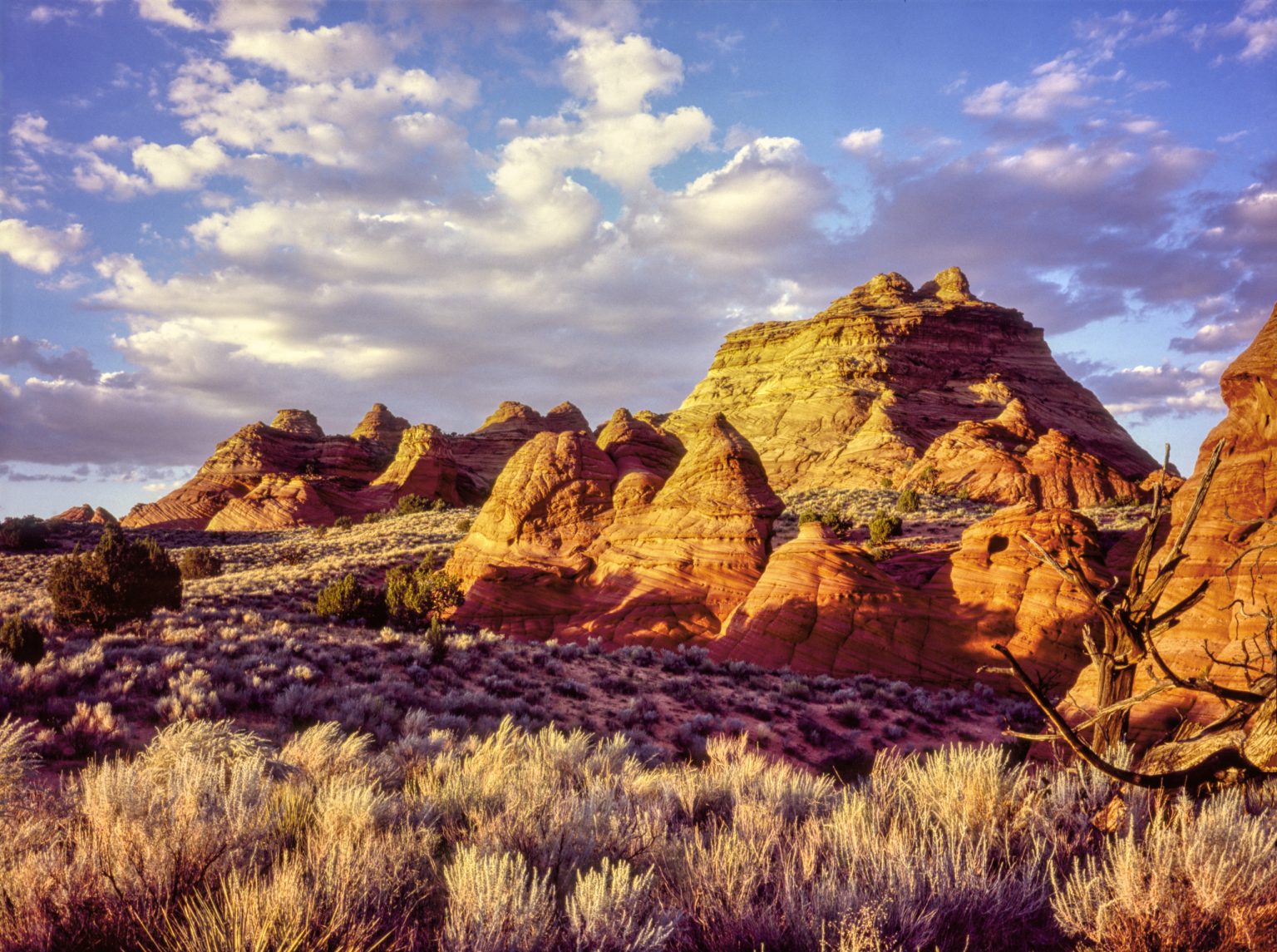 SOUTH COYOTE BUTTES - Paria Outpost & Outfitters