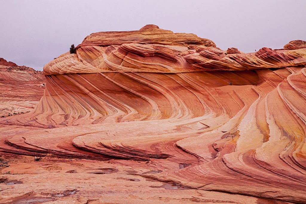 The Wave Grand Staircase Escalante Vermillion Cliffs National Monuments Coyote Buttes The Wave White Pocket Guided Photography Tours Paria Outpost Outfitters Kanab Utah Arizona 13 1024x683 - THE WAVE – NORTH COYOTE BUTTES PHOTO GALLERY