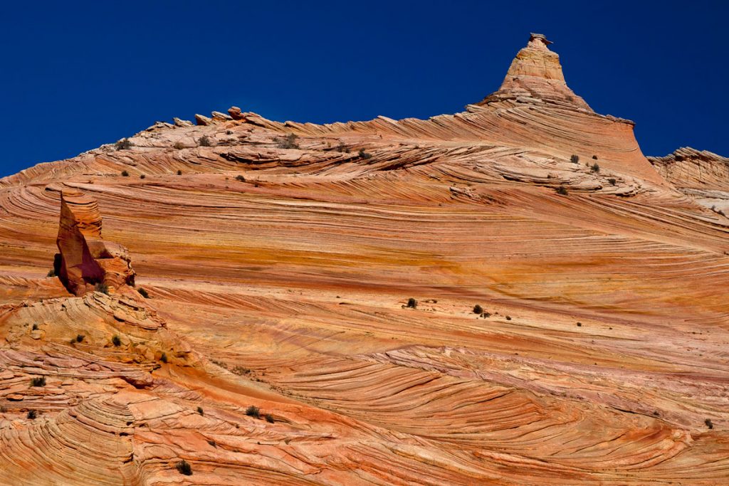 The Wave Grand Staircase Escalante Vermillion Cliffs National Monuments Coyote Buttes The Wave White Pocket Guided Photography Tours Paria Outpost Outfitters Kanab Utah Arizona 2 1024x683 - THE WAVE – NORTH COYOTE BUTTES PHOTO GALLERY