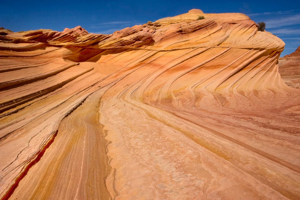 The Wave Grand Staircase Escalante Vermillion Cliffs National Monuments Coyote Buttes The Wave White Pocket Guided Photography Tours Paria Outpost Outfitters Kanab Utah Arizona 3 1024x683 - THE WAVE – NORTH COYOTE BUTTES PHOTO GALLERY