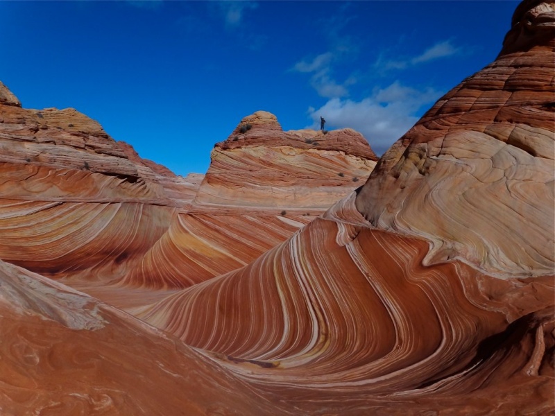 coyote buttes north the wave Grand Staircase Escalante Vermillion Cliffs National Monuments White Pocket Guided Photography Tours Paria Outpost Outfitters Utah Arizona - THE WAVE – NORTH COYOTE BUTTES PHOTO GALLERY