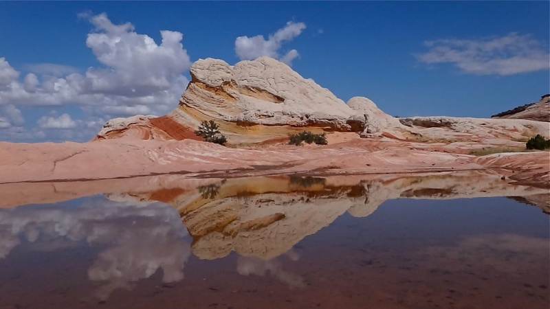 white pocket reflection Grand Staircase Escalante Vermillion Cliffs National Monuments Coyote Buttes The Wave Guided Photography Tours Paria Outpost Outfitters Kanab Utah Arizona - WHITE POCKET PHOTO GALLERY